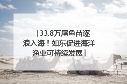 33.8万尾鱼苗逐浪入海！如东促进海洋渔业可持续发展