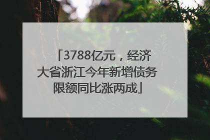 3788亿元，经济大省浙江今年新增债务限额同比涨两成
