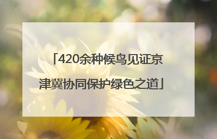 420余种候鸟见证京津冀协同保护绿色之道