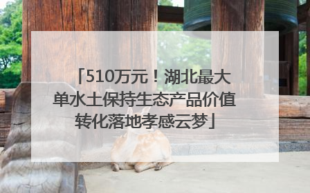 510万元！湖北最大单水土保持生态产品价值转化落地孝感云梦