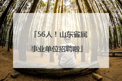 56人！山东省属事业单位招聘啦