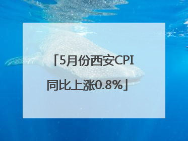 5月份西安CPI同比上涨0.8%