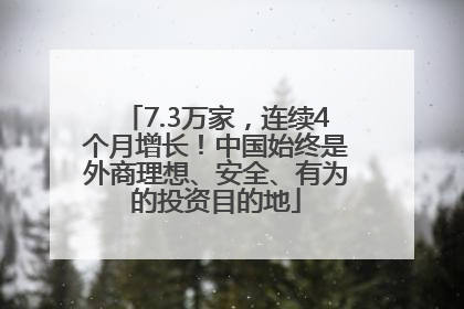 7.3万家，连续4个月增长！中国始终是外商理想、安全、有为的投资目的地
