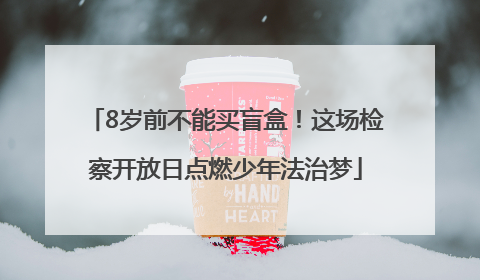 8岁前不能买盲盒！这场检察开放日点燃少年法治梦