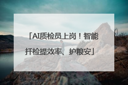 AI质检员上岗！智能扦检提效率、护粮安