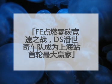 FE点燃零碳竞速之战，DS潘世奇车队成为上海站首轮最大赢家
