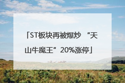 ST板块再被爆炒 “天山牛魔王”20%涨停