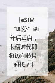 eSIM“叫停”两年后重启，卡槽时代即将迈向芯片时代？